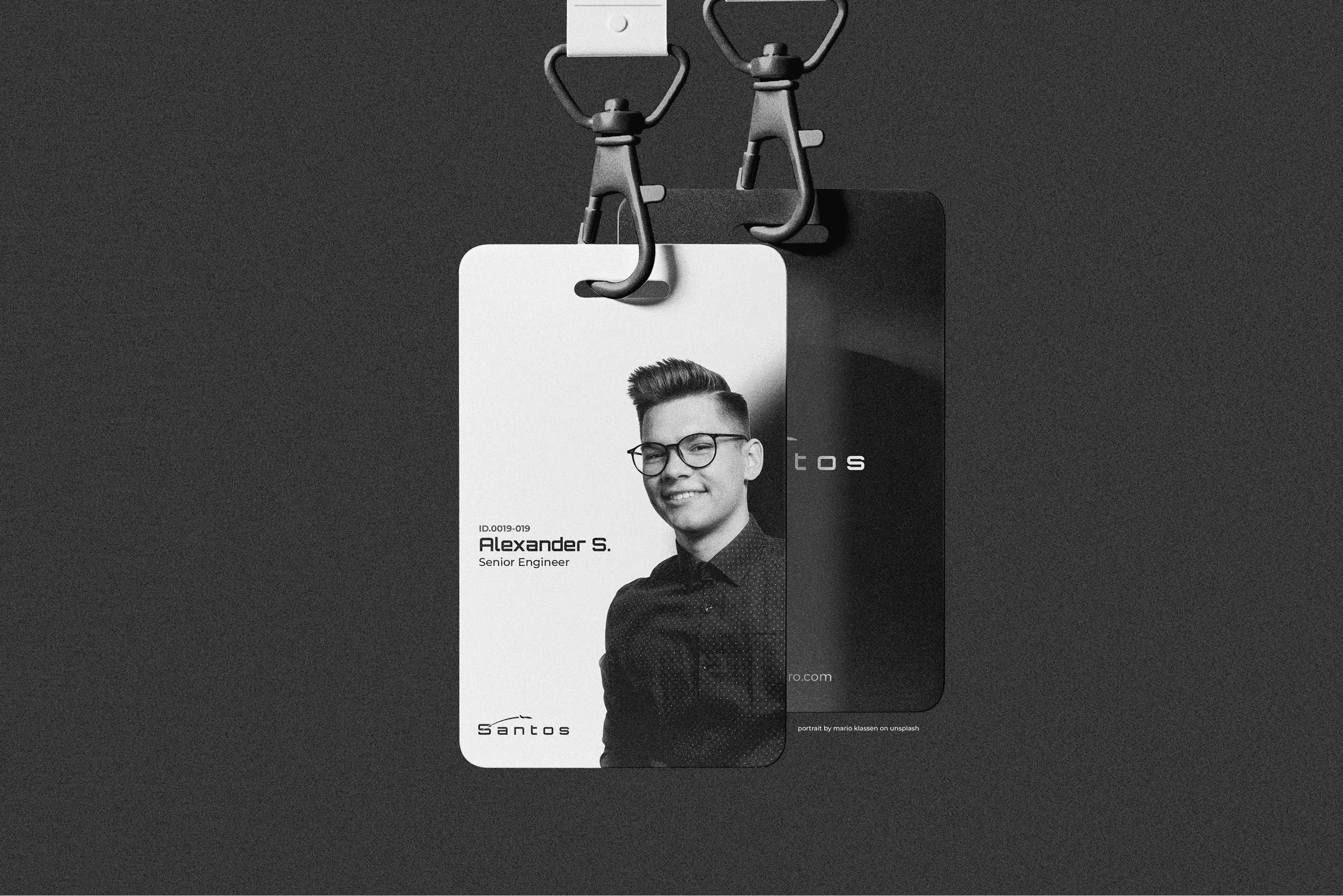 Santos Project Image 19